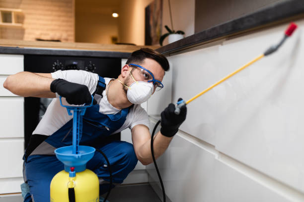 Best Pest Control Near Me  in Chadbourn, NC