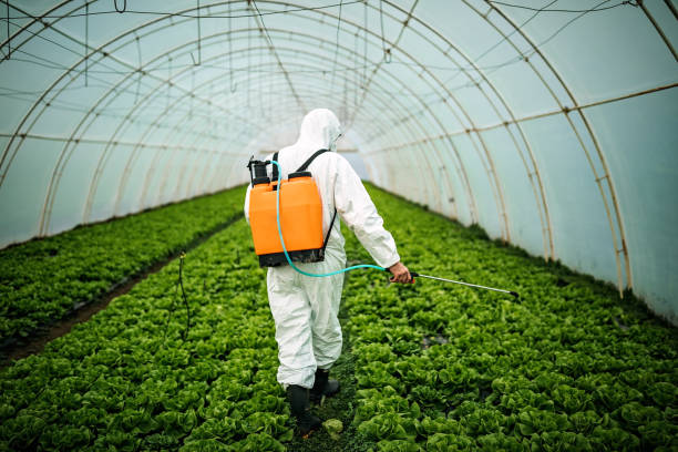 Best Pest Removal Services  in Chadbourn, NC