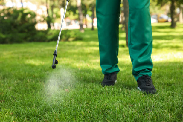 Best Pest Control Near Me in Chadbourn, NC