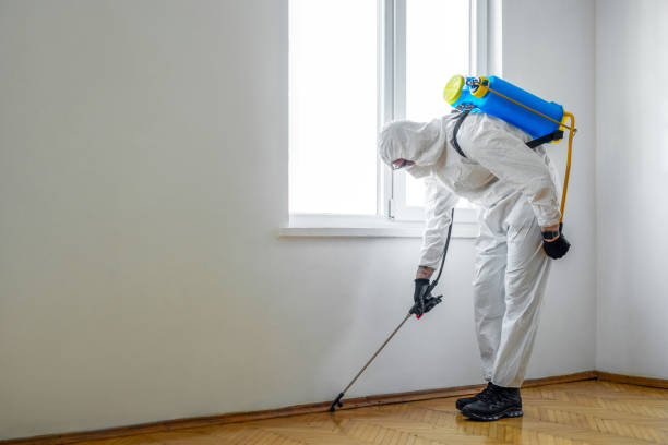 Best Best Pest Control Companies  in Chadbourn, NC