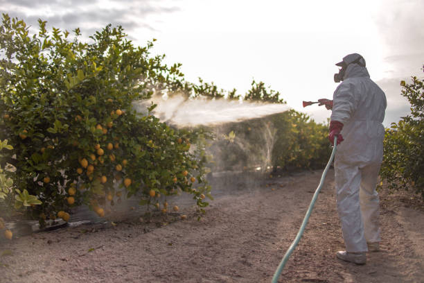 Best Exterminator Services  in Chadbourn, NC