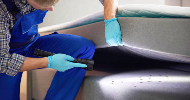 Best Affordable Pest Control Services  in Chadbourn, NC