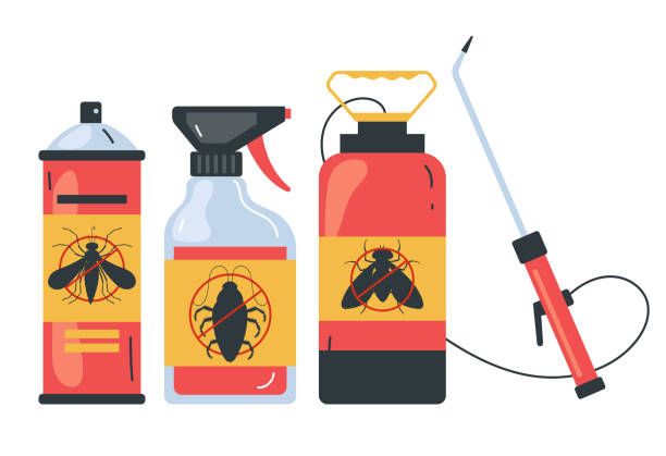 Best Insect Control  in Chadbourn, NC