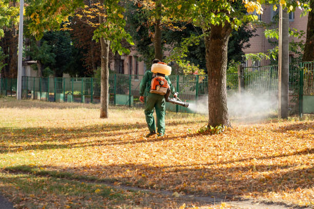 Best Rat Extermination Near Me  in Chadbourn, NC